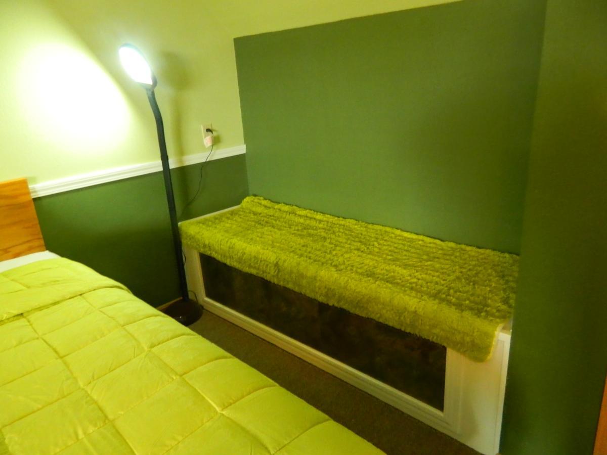 Country Motor Inn 리빙스턴 외부 사진